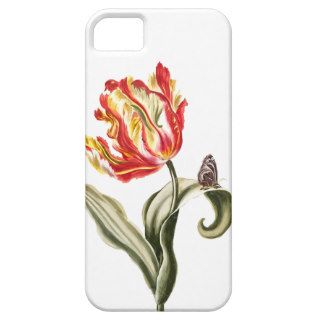 Vintage Tulip Butterfly Garden Springtime iPhone 5 Covers
