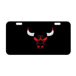 Chicago Bulls Metal License Plate Frame LP 494  Sports & Outdoors