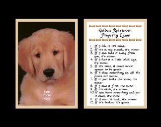 Golden Retriever Property Laws Wall Decor Pet Saying Dog Saying Golden Saying   Decorative Plaques