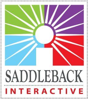Integers and Decimals (Easy to Use Interactive Smart Board Lessons (Mathskills)) Saddleback Educational Publishing 9781616515010 Books