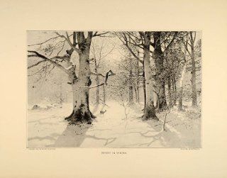 1896 Muller Kurzwelly Forest Winter Deer Woods Snow   Original Halftone Print  