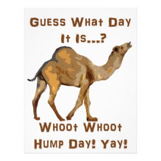 Its Hump Day Letterhead Template