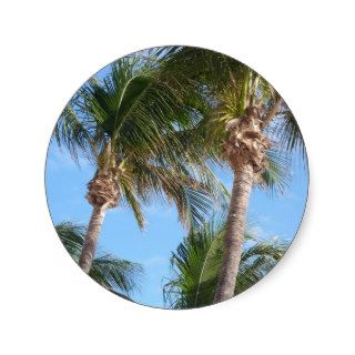 Palm Trees Against Blue Sky Round Stickers