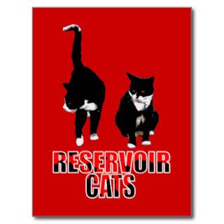 Reservoir Cats Humor Funny Post Card
