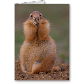 Prairie Dog Card