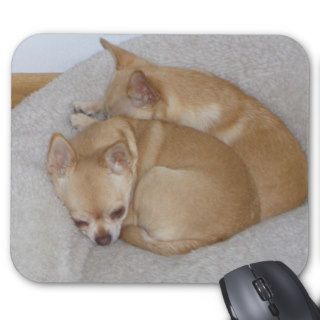BY   Cute Chihuahua Puppy Dogs  Mousepad