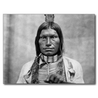 Low Dog   Native American vintage photo Post Cards