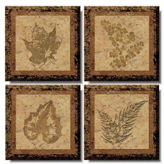 Fossil TileStix 4 Piece Peel and Stick Tile Dcor   Wall Decor Stickers