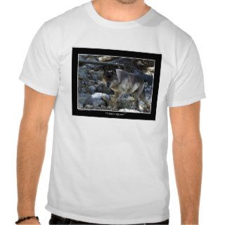 Vision Quest Wolf Gifts Shirt