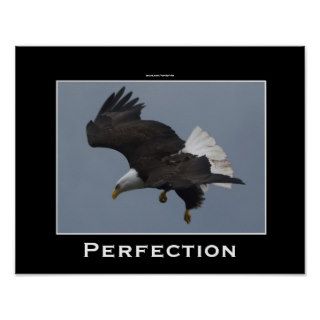 Bald Eagle Perfection Motivational Poster