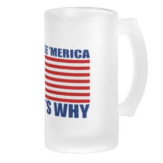BECAUSE 'MERICA THAT'S WHY US Flag Beer Mug
