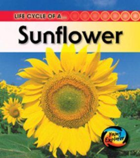 Life Cycle of a Sunflower (Young Explorer Life Cycles) Angela Royston 9780431999685 Books