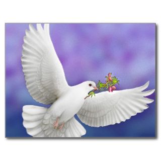 Flying Peace Dove Card Postcard