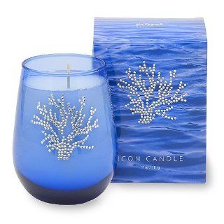 Primal Elements Coral Icon Candle, 13 Ounce   Scented Candles
