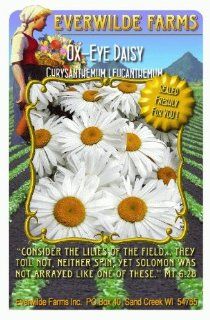 Everwilde Farms   1 Lb Ox Eye Daisy Wildflower Seeds   Bulk Seed Packet  Flowering Plants  Patio, Lawn & Garden