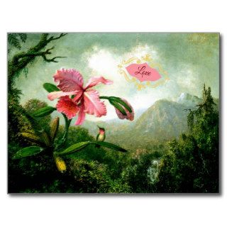 Love, Orchid and Hummingbird near a Waterfall Postcards