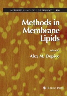 Methods in Membrane Lipids (Methods in Molecular Biology) (9781588296627) Alex Dopico  MD  PhD Books