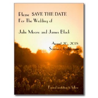 Vineyard Sunset Winery Wedding Save The Date Post Cards