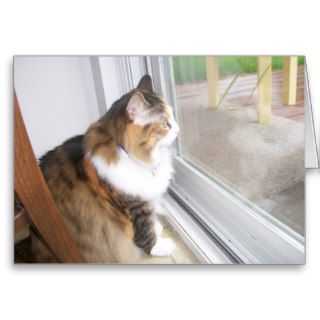 Dolly the Cat I Miss You Card