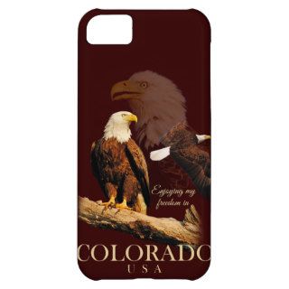 Colorado Patriot Eagle Montage Case For iPhone 5C