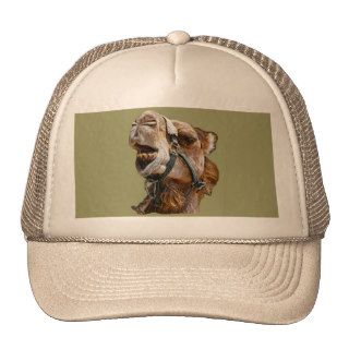 Camel Picture Hat