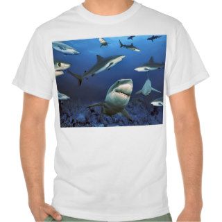 Just swimming around tshirts