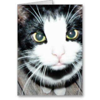 Black And White Cat Greeting Card