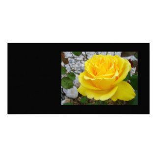 Beautiful Yellow Rose with Natural Garden Backgrou Photo Card