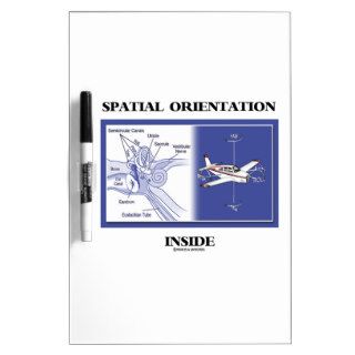 Spatial Orientation Inside (Ear Anatomy Plane) Dry Erase White Board