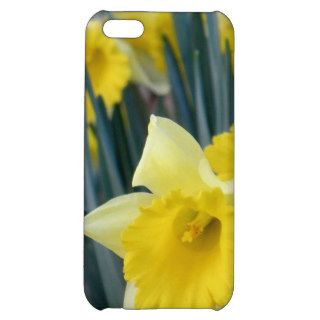 Yellow Flowers Daffodils Daffodil Flower Photo Case For iPhone 5C