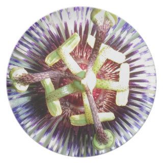 Close Up of The Centre Of a Passiflora Flower Dinner Plate