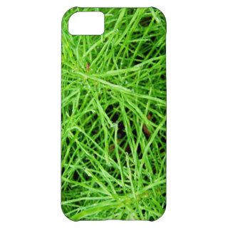 Green Grass Fireworks; No Text iPhone 5C Cover