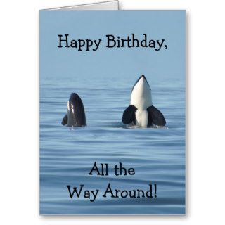 Killer Whale Birthday Cards