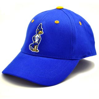 Top of the World Creighton Bluejays Rookie Youth One Fit Hat (ROOKCRGTN1FYTMC)
