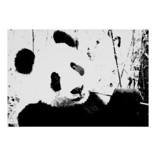 Panda Posters   Black & White Panda Face