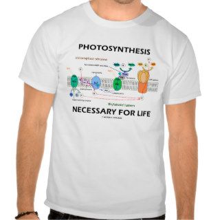 Photosynthesis Necessary For Life Tee Shirt