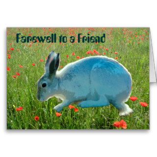 With Sympathy (loss of a rabbit) Card