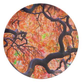 Autumn Tree of Life Gaia Earth Axis Pagan Wiccan Dinner Plates