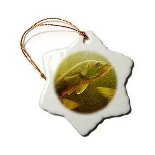 3dRose orn_13991_1 The Elusive Snook Snowflake Ornament, Porcelain, 3 Inch   Decorative Hanging Ornaments
