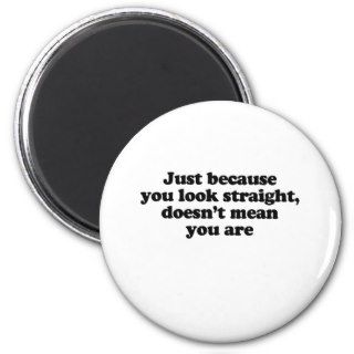 JUST BECAUSE YOU LOOK STRAIGHT DOESN'T MEAN U R REFRIGERATOR MAGNET