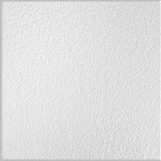 Sand Pebble 1 ft. x 1 ft. Beveled Tongue and Groove Ceiling Tile 257
