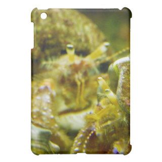 Hermit Crab Couple iPad Mini Cover