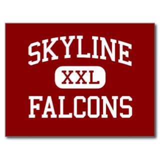 Skyline   Falcons   High   Longmont Colorado Post Cards