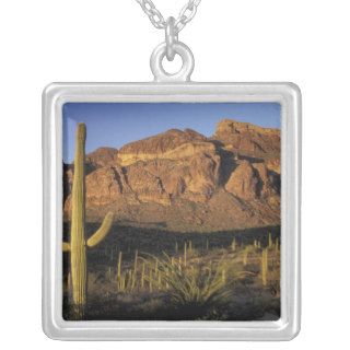 NA, USA, Arizona. Organ Pipe Cactus National 2 Custom Jewelry