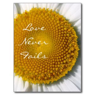Love Never Fails Daisy 1 Corinthians 13 Post Cards