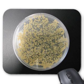 Bacteria Culture Plate Mousepad
