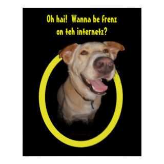 Oh hai  Wanna be frenz on teh internetz? Poster