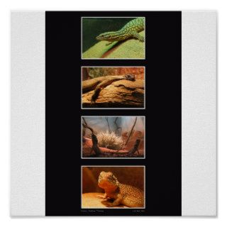 reptiles, darwin, NT, by LAH Poster