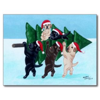 Christmas Tree Labradors in the snow field Postcards