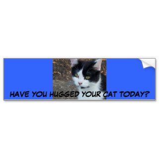 , HAVE YOU HUGGED YOUR CAT TODAY? BUMPER STICKERS